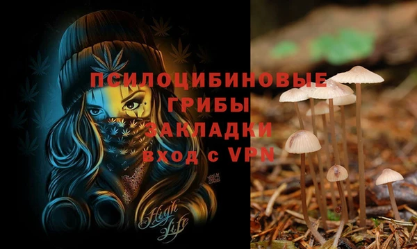 бутират Абинск