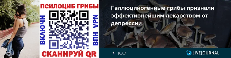 Галлюциногенные грибы Psilocybe даркнет сайт Рубцовск